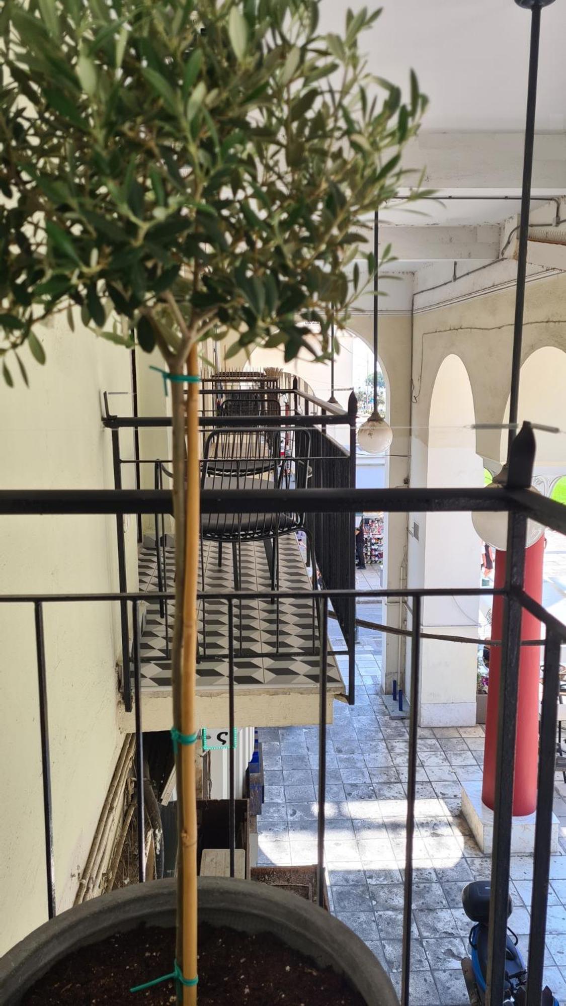 Μerάκι Aristotelous Sq Salonic Exterior foto